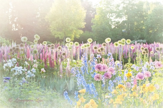Flower Photography - Magical, Dreamy, Romantic Scene of Iris Garden - Pink and Blue - Nursery Decor, Wall Art, Home Decor