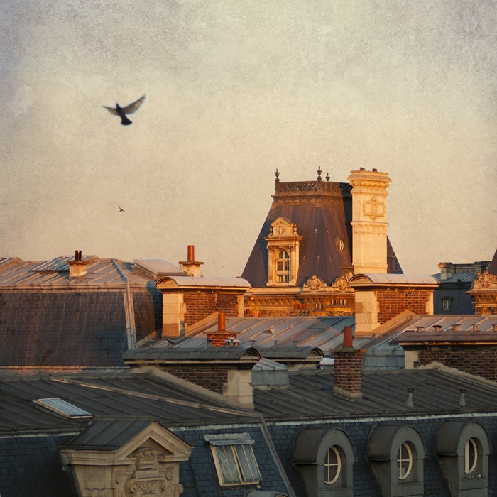 Paris Photo - Paris Dawn, Hotel de Ville - Rooftops of Paris, France in Morning Sun with Birds, Fine Art Travel Photograph