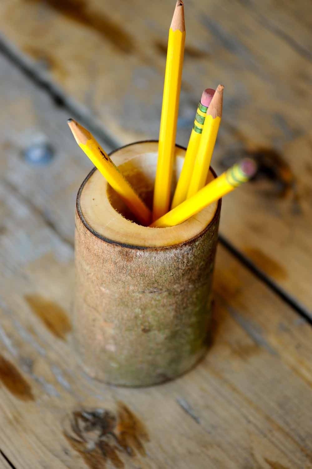 Rustic Maple Log Pencil Holder