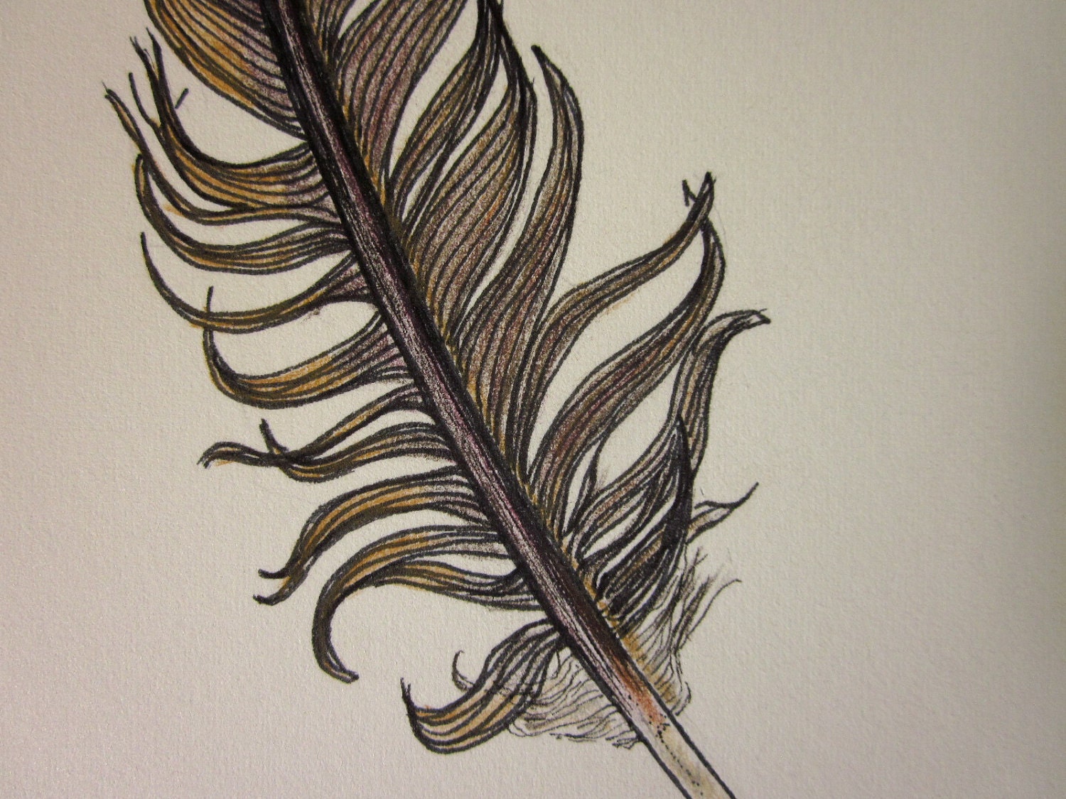 Messy brown feather -- original ink and coloured pencil drawing
