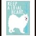 Samoyed Husky Dog Art Print Wall Decor Poster Matted to fit 8 x 10 frame