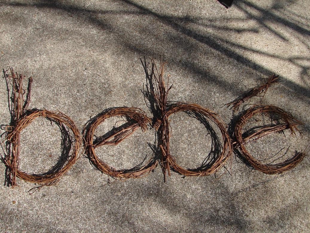 Lauren's Custom Twig Letters