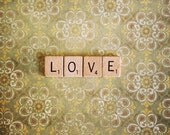 Vintage Love 4x6 Photography Print. Dress up your house or give as a Gift