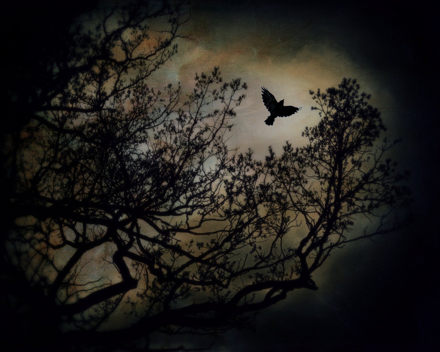Midnight Madness 8x10 Fine Art Photograph Print