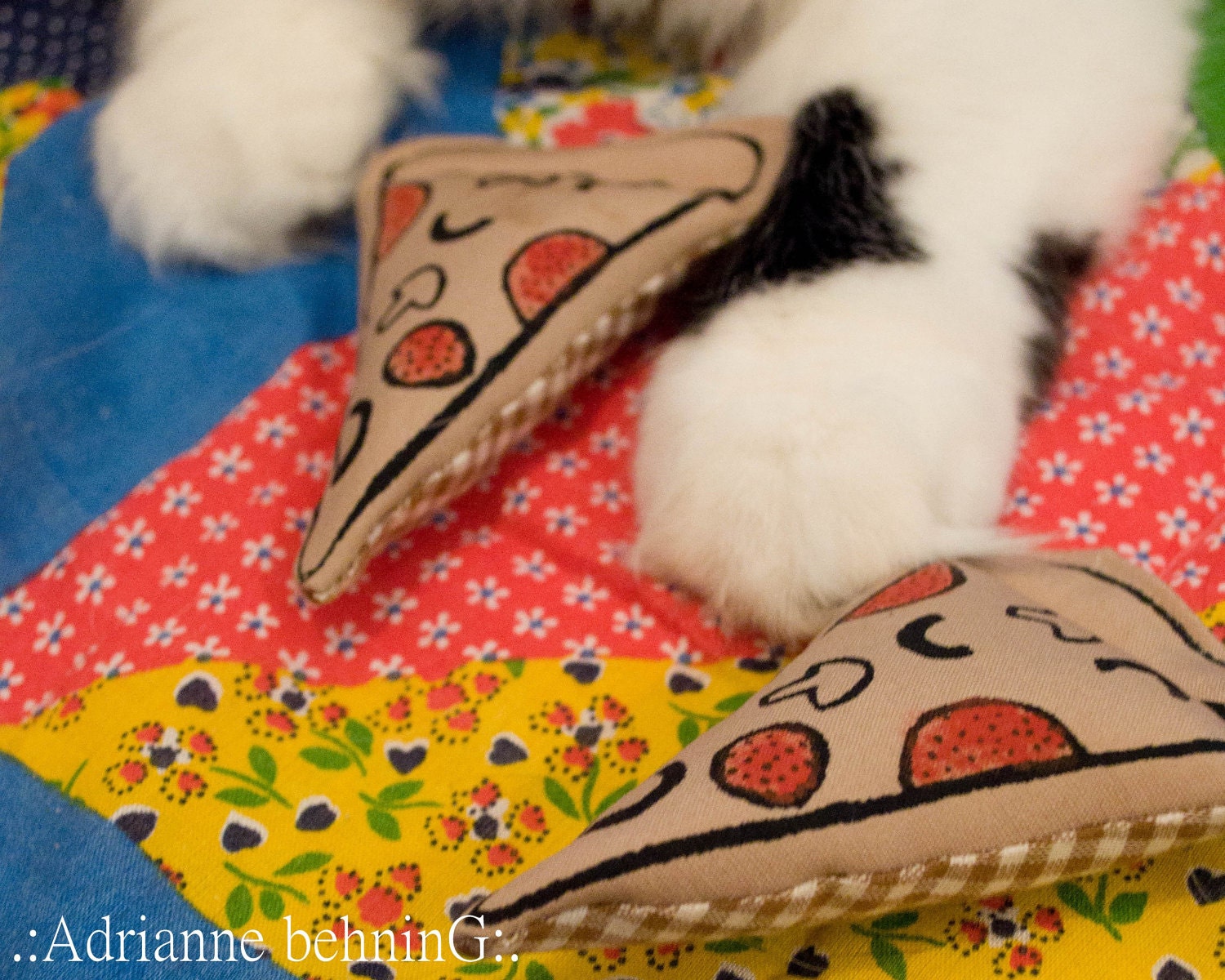 Catnip Pizza Slices- 2 PACK