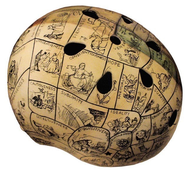 Phrenology Chart Hand Painted Helmet