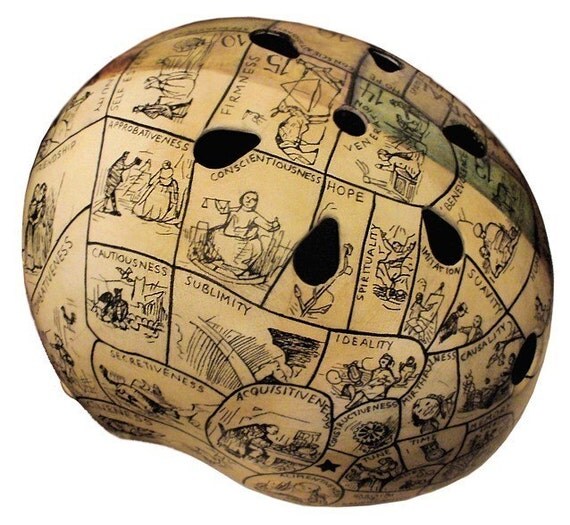 Phrenology Chart Hand Painted Helmet