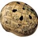 Phrenology Chart Hand Painted Helmet