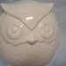Baby Owl Bank