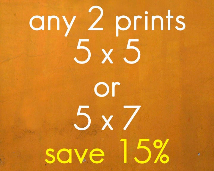 DISCOUNTED SET - Any two 5x5" or 5x7" prints