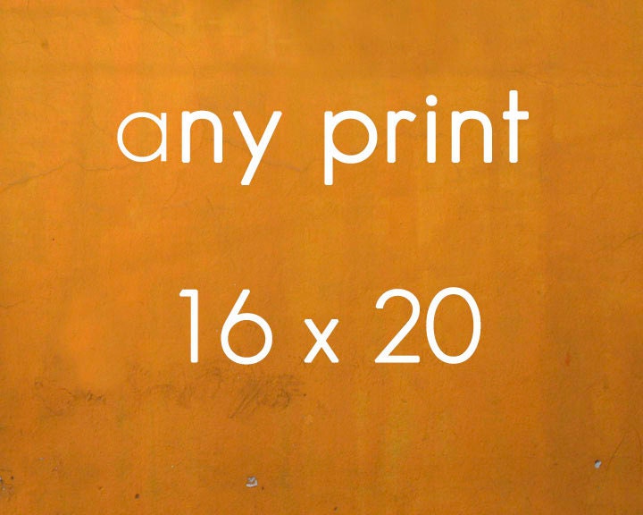 Any Photo Printed at 16 x 20" -- personalized resized custom customized
