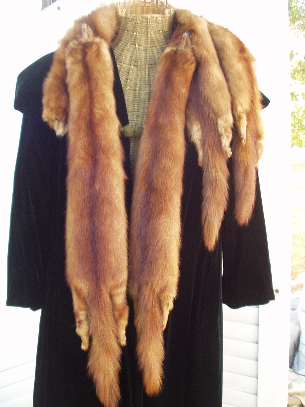 Stone Marten Fur