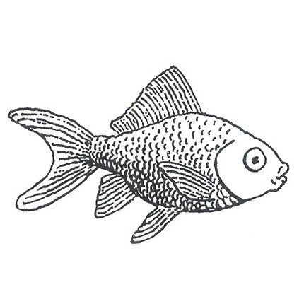 Unmounted Rubber Stamp - Goldfish Right