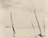 Forest photography forest photograph 5x7 sleeping bear national lakeshore black and white fine art M22 wall art modern art ghost forest
