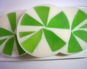 Lime Coconut Citrus  Soap  with Shea Butter and Olive Oil