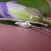 rose leaf bracelet twig bracelet large size bangle sterling silver