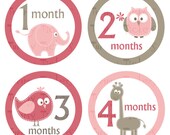 Monthly Onesie Stickers...Set of 12 Girls...Baby Animals...Ready to Ship...Waterproof....Months 1-12