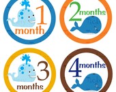 Monthly Onesie Stickers...Set of 12 Boys...Baby Whales...Ready to Ship...Waterproof....Months 1-12