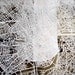 london mapcut