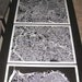 SAN FRANCISCO mapcut
