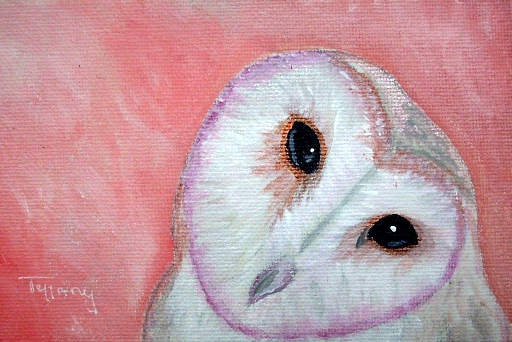 WISDOSM - Original Owl Painting - framed