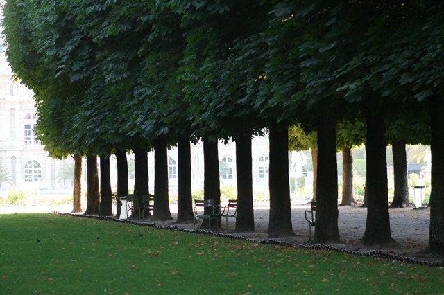 The Luxembourg, Paris- 8x10 French Fine Art Photograph-- Print --