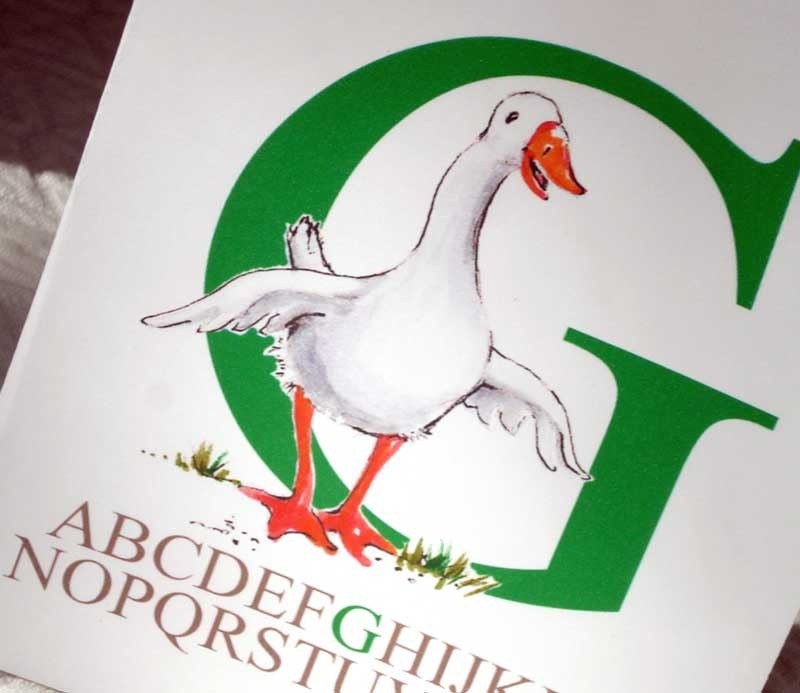Silly Goose Alphabet Pre School Baby Party Invitation Notecard eco friendly