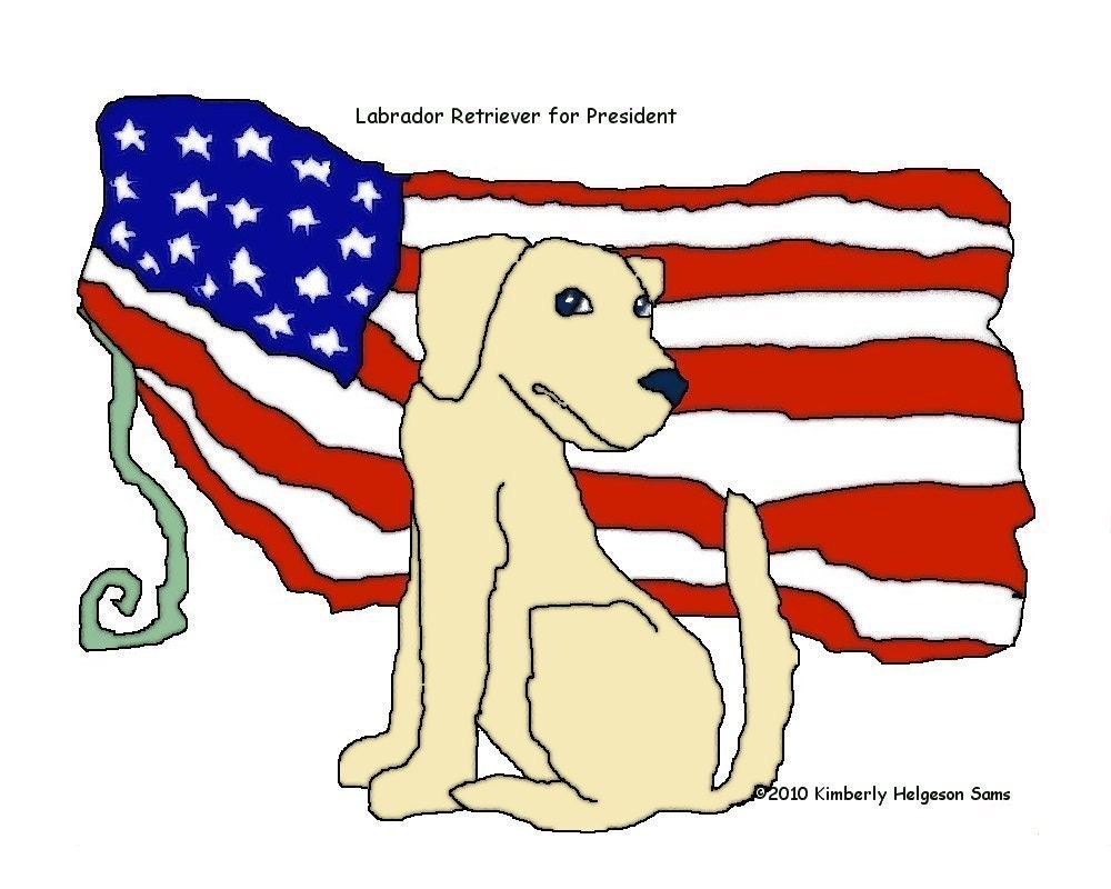 Labrador Retriever for President Yellow Digital Art Giclee Print by Kimberly