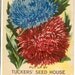 Vintage Flower Seed Packet Tuckers Seed House Lithograph ASTER Carthage, Missouri