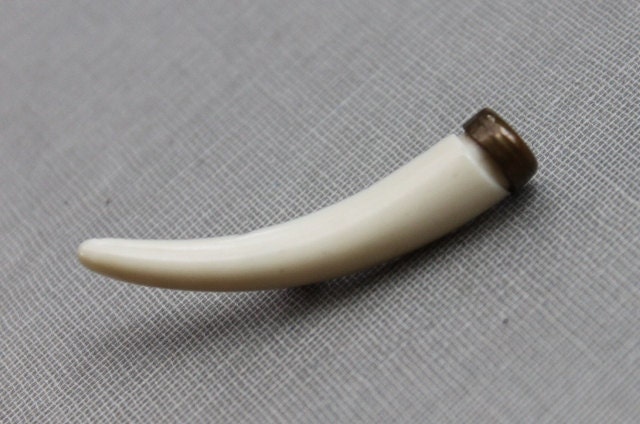 Edwardian Hunting Trophy Fang Brooch