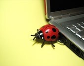 LadyBug USB Flash Drive