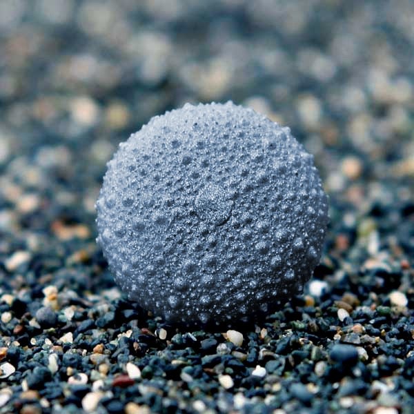 Sea Urchin Jewelry Resin Ring Modern Beach Jewelry