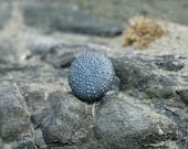 Sea Urchin Jewelry Resin Ring Resin Jewelry Beach Jewelry Statement Ring