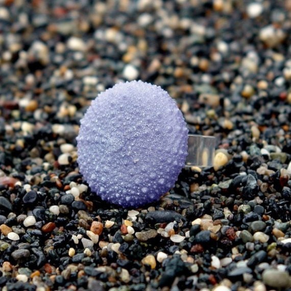 Sea Urchin Jewelry Modern Beach Jewelry Resin Ring