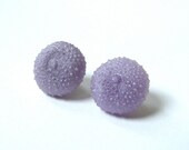 Sea Urchin Earrings Resin Earrings Modern Beach Jewelry Nature Jewelry