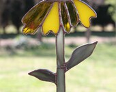 Black-eyed Susan