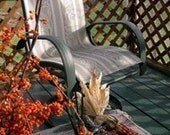COUNTRY BUMPKIN Incense  with Crystals