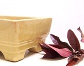 50% off vintage yellow ceramic planter