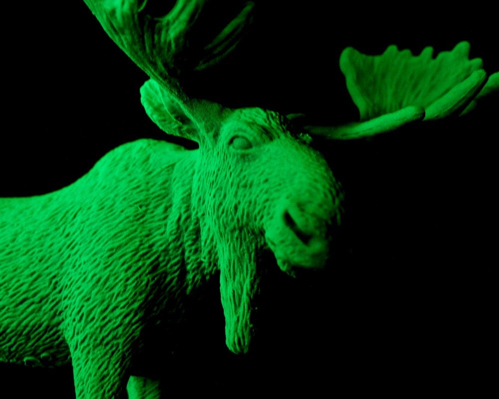 Green Moose from 2089 8X10 art print neon futuristic animals photograph