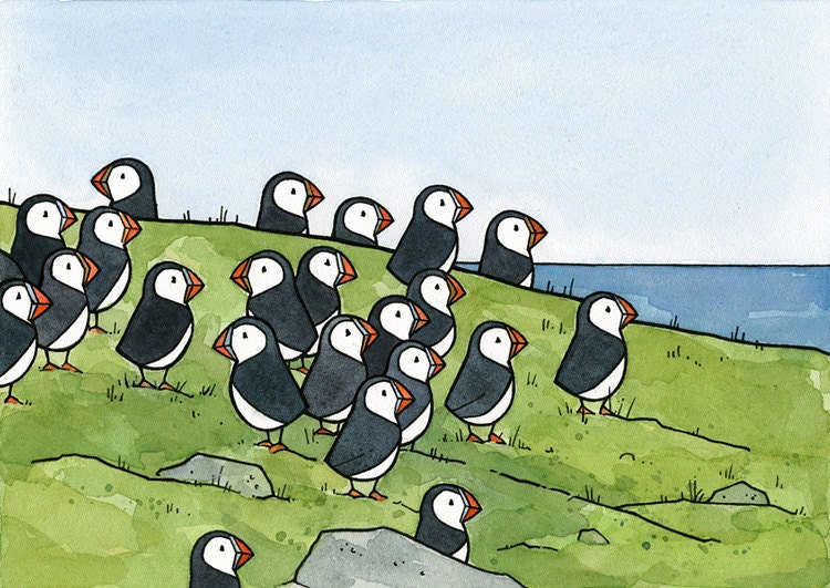 Puffin Colony Art Print 8x10
