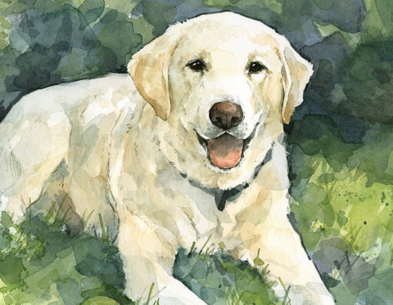 Custom Pet Portrait 8x10 Animal Watercolor Painting