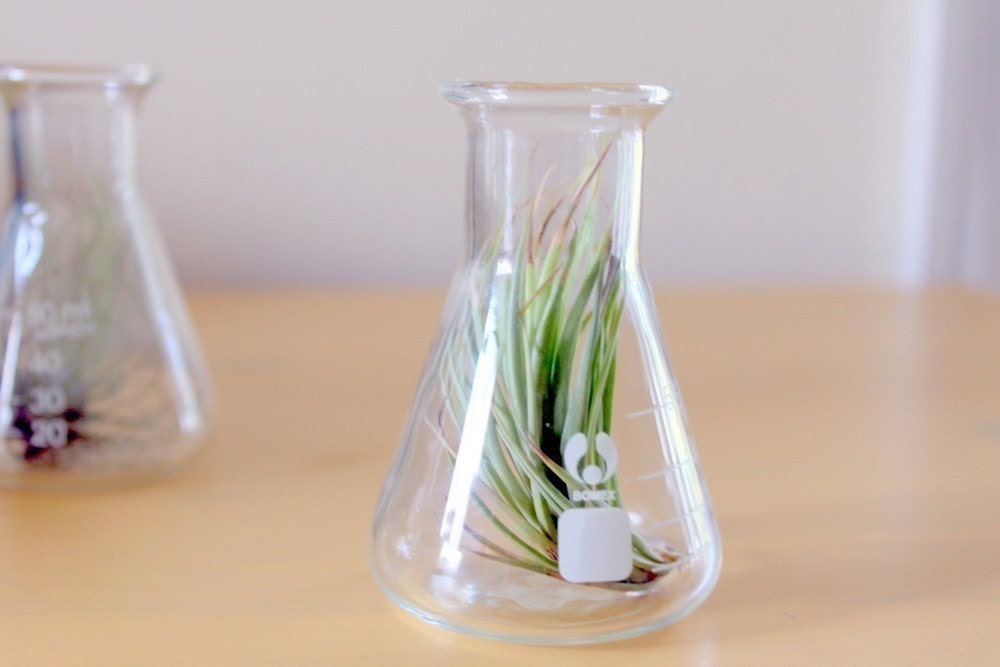 Beaker Geekery