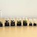 Three Mini Terrariums- Assortment