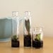 Party Pack Tiny Terrariums FREE SHIP 50 count