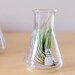 Beaker Geekery