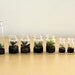 Three Itty Bitty Terrariums