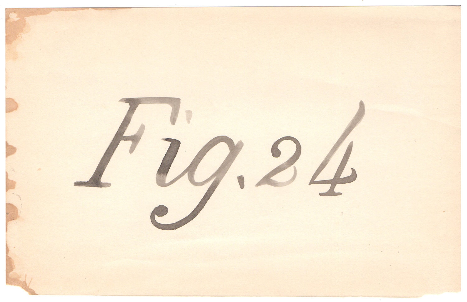 Fig. 24 // Fine Art Print
