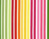 Remix Stripe Garden Lime Hot Pink Red Ann Kelle - Robert Kaufman - Fabric - Fat Quarter 18 by 22