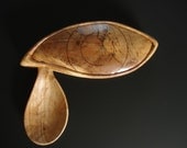 Eye Drop    wood spoon