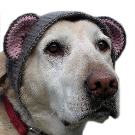 pet hat - large bear
